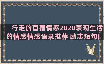 行走的苜蓿情感2020表现生活的情感情感语录推荐 励志短句(行走的苜蓿阅读理解)